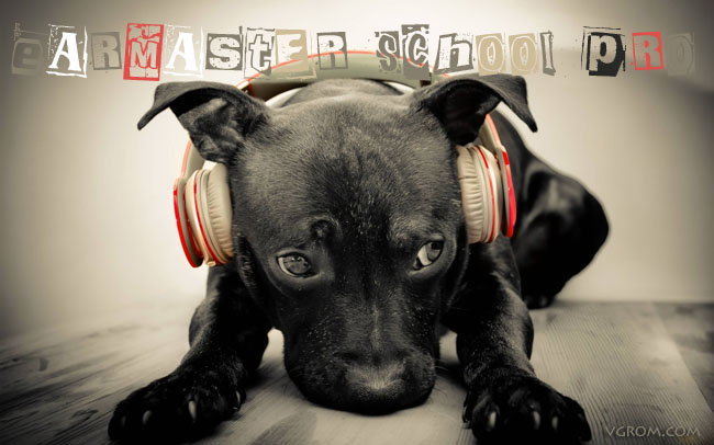 EarMaster School Pro + ключ - развить музыкальный слух