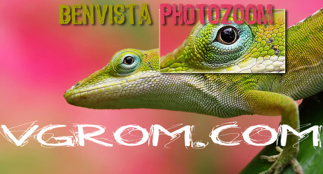 Benvista PhotoZoom Pro - увеличить картинку без потери качества