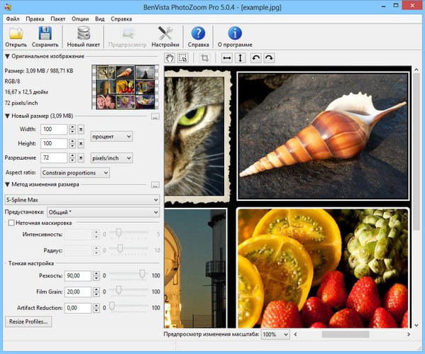 Benvista PhotoZoom Pro - увеличить картинку без потери качества