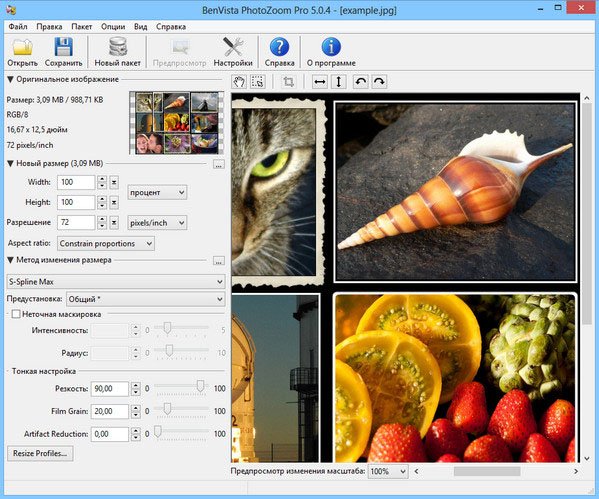 Программы увеличивающие. Benvista PHOTOZOOM Pro. Benvista PHOTOZOOM Pro 8.1.0. Фото зум ответы. 125 % PHOTOZOOM.