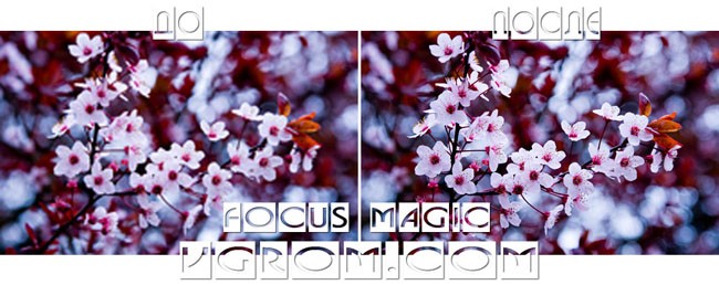 Focus Magic - сделать размытую фотографию четкой