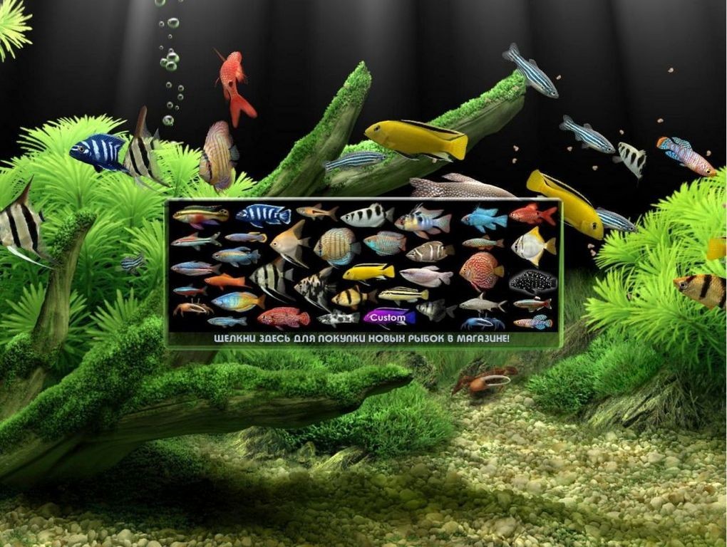 dream aquarium 1.234 fully registered 21 new tanks