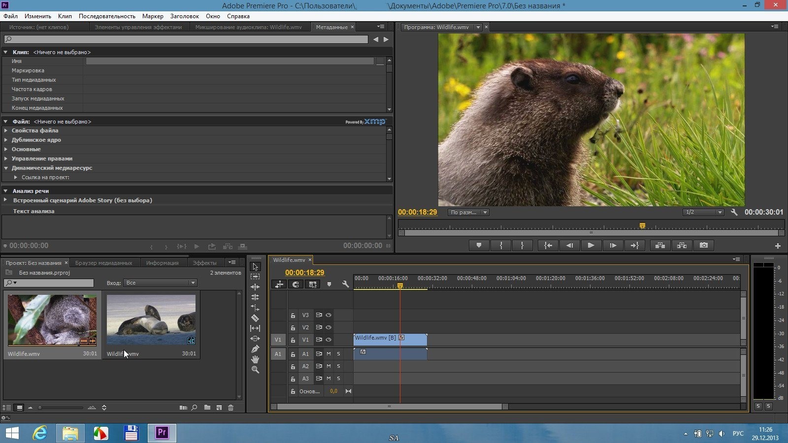 premiere pro 15.4 torrent